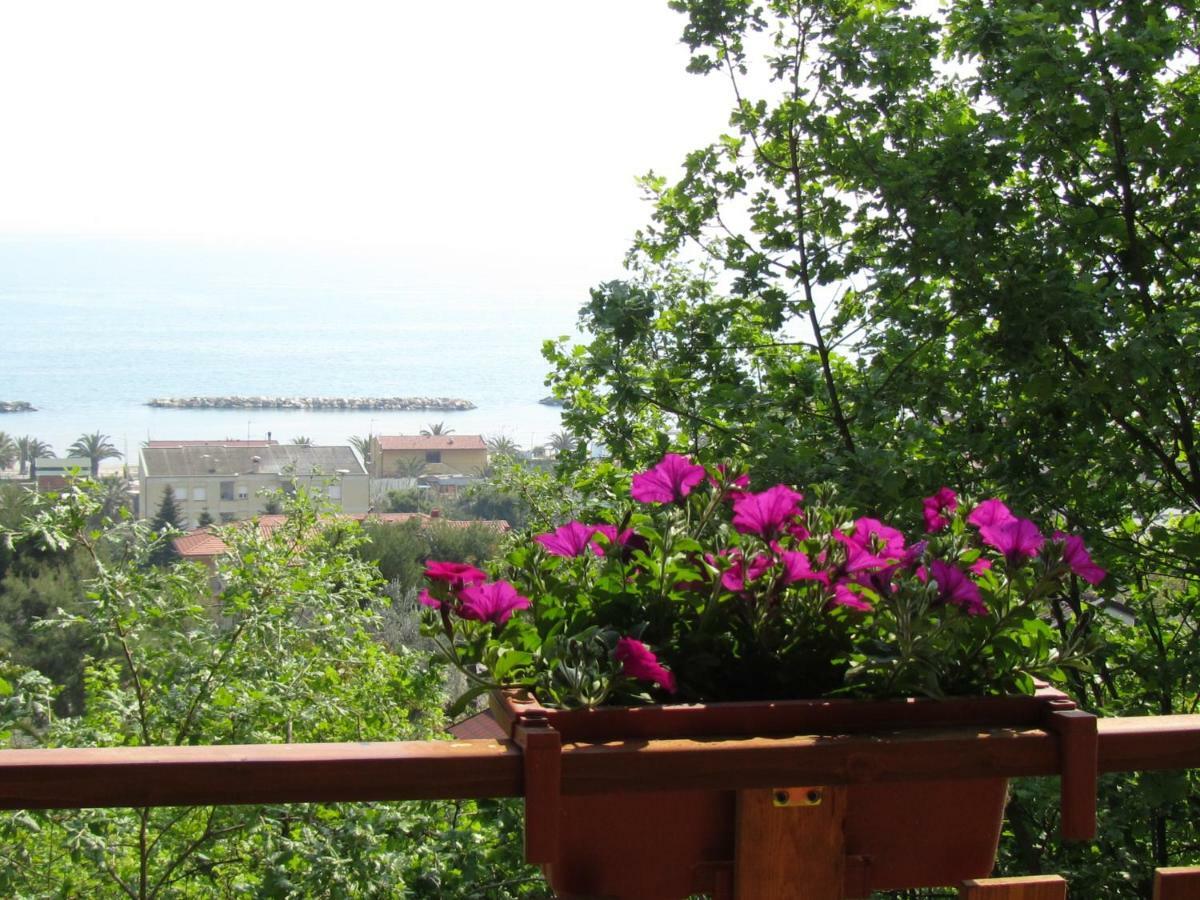 Camping Terrazzo Sul Mare Camping Cupra Marittima